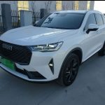 Haval H6 2021 3rd Gen 2.0T Auto 2WD Max