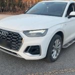 Audi Q5L 2021 40 TFSI Luxury Dynamic