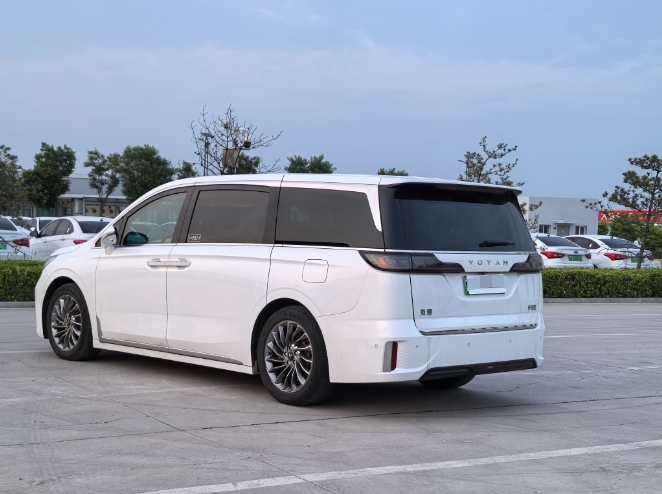 VOYAH DREAMPOWER 2022 LOW CARBON EDITION DREAM+WISE PACKAGE - Huishida Trading