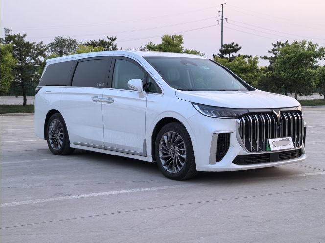 VOYAH DREAMPOWER 2022 LOW CARBON EDITION DREAM+WISE PACKAGE - Huishida Trading