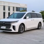 VOYAH DREAMPOWER 2022 LOW CARBON EDITION DREAM+WISE PACKAGE