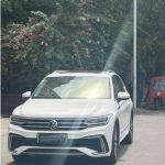 Volkswagen Tiguan L New Energy 2022 430 PHEV Plug-in Hybrid Premium Edition
