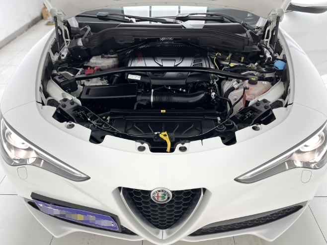 Alfa Romeo Stelvio 2021 Stelvio 2.0T 280HP Luxury Edition - Huishida Trading