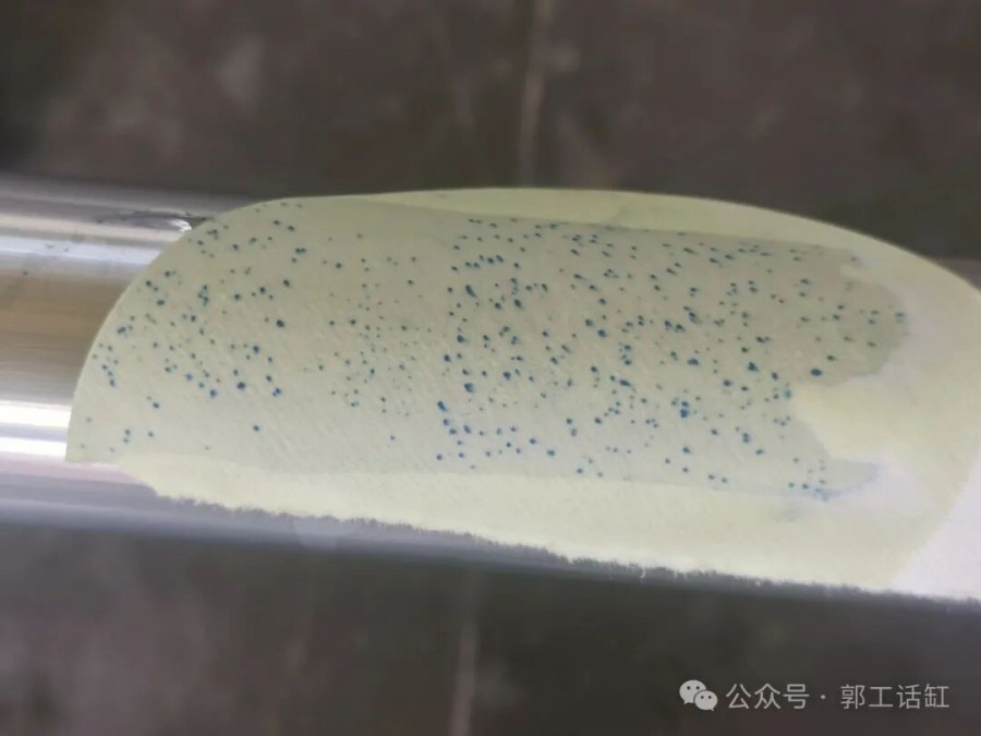 xinwen1 (3)