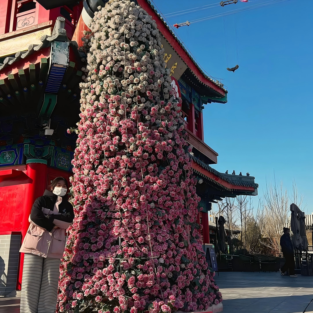 图片1(1)