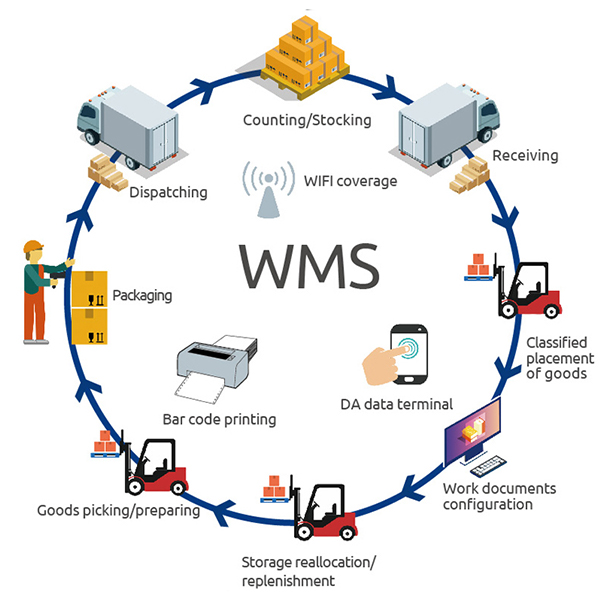 WMS