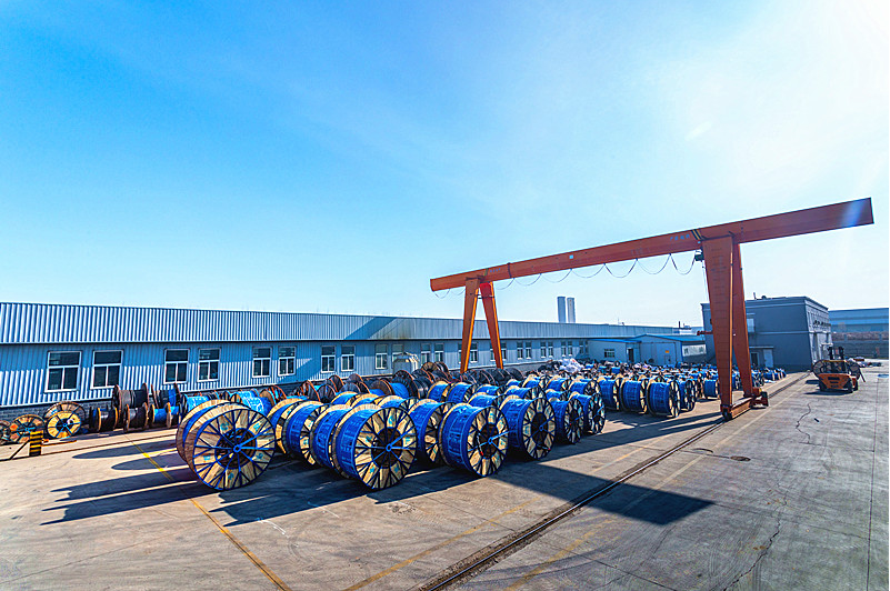 2716-202201181617322636