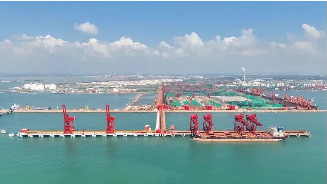 Открытие терминала D31 в районе донг-донг в циндао прошло успешно