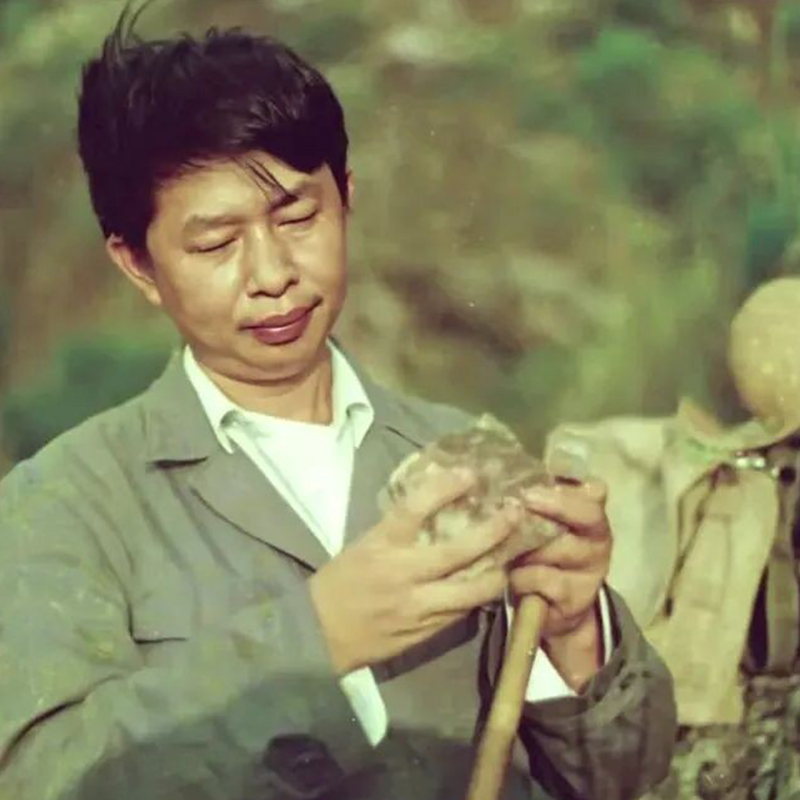 Легенда выходит на прощание! Чэнь Цзинхэ, известный как «Золотой король Китая», объявляет об отставке с поста председателя Zijin Mining и назначается на пост пожизненного почётного председателя!