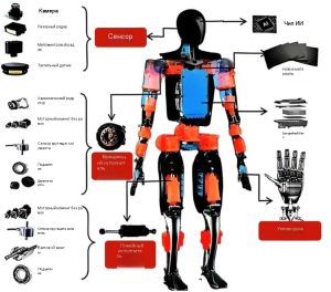 Следующий триллионный сегмент: раскрытие архитектуры систем роботов-человек и ключевых испытаний