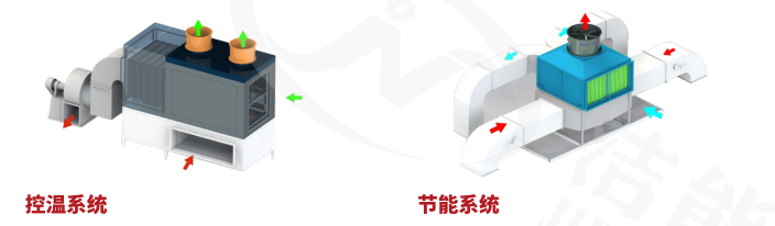 图片7