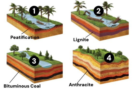 71b75b7cb906c4469385023b6c1c4b21