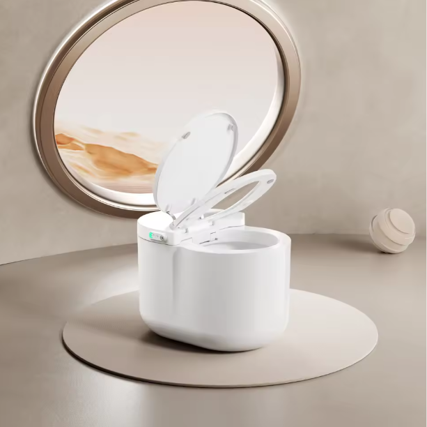 Интеллектуальная тенденция обновления производства впереди, общая ванная комната SELORA SANITARY WARE