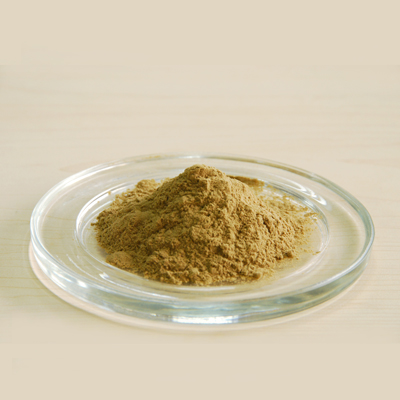 Ginkgo Biloba Extract