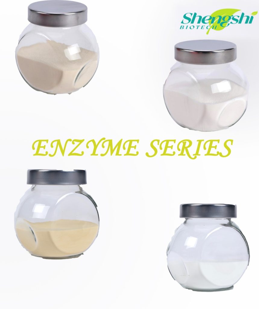 Enzyme series