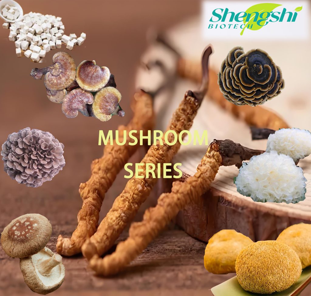 Mushroom Extract