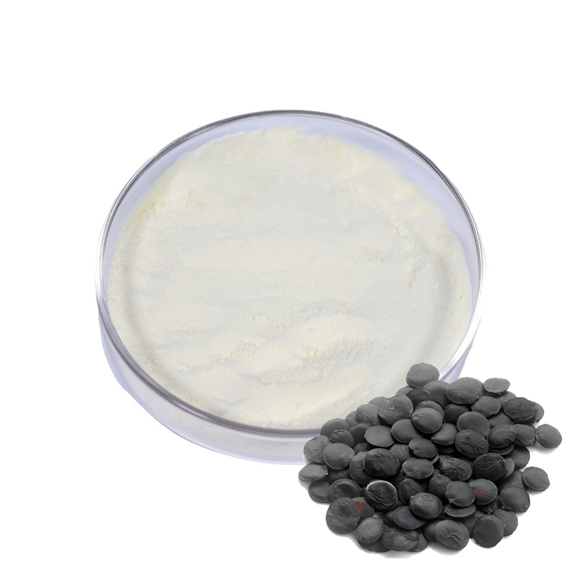 Griffonia Seed Extract