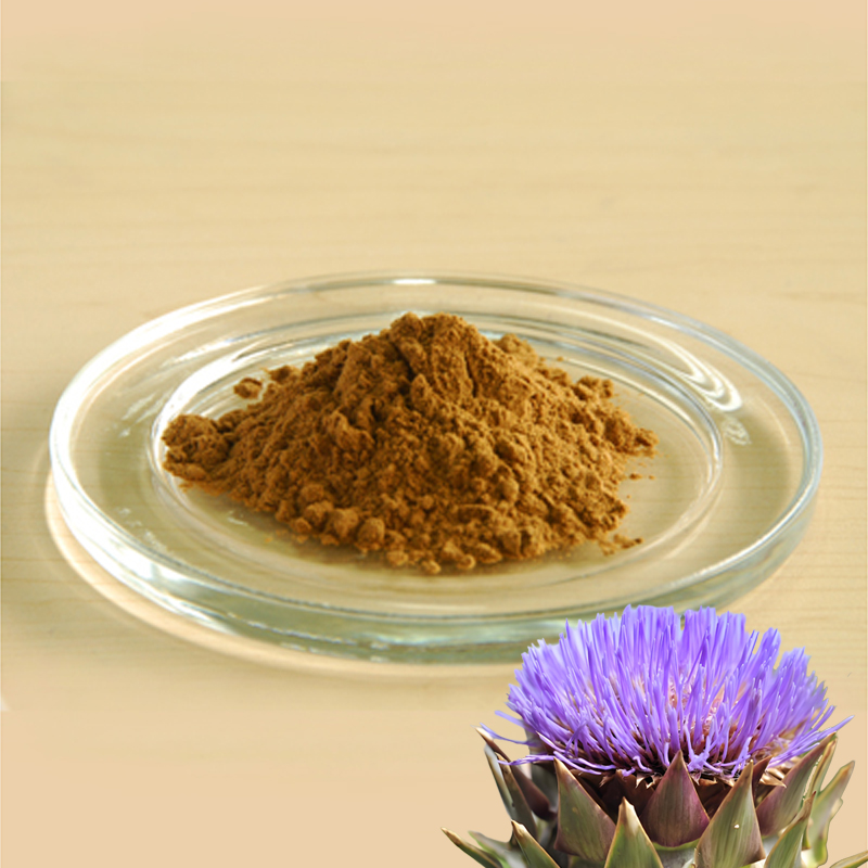 Artichoke Extract
