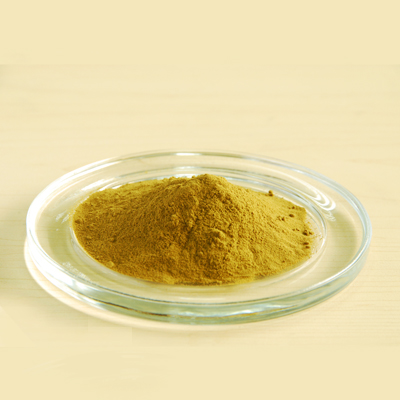 Gymnema Sylvestre Extract