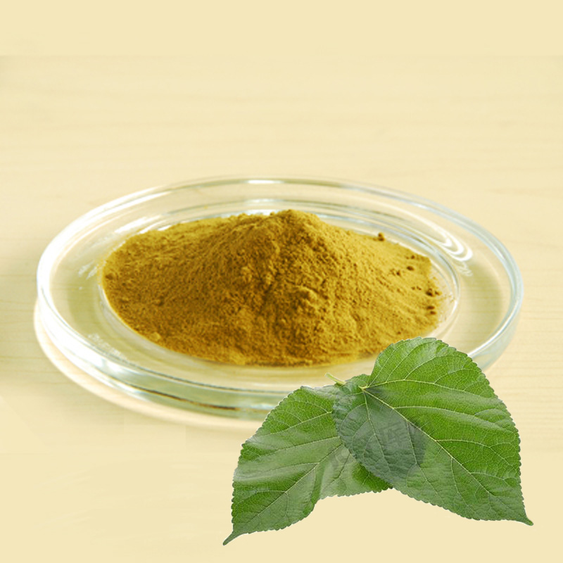 Mulberry Leaf Extract