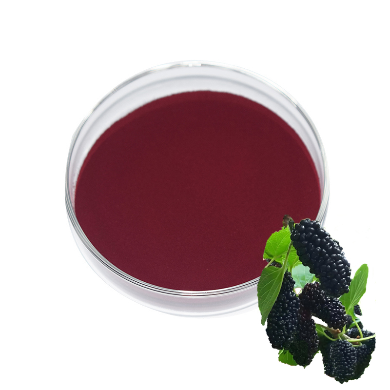 Mulberry Extract