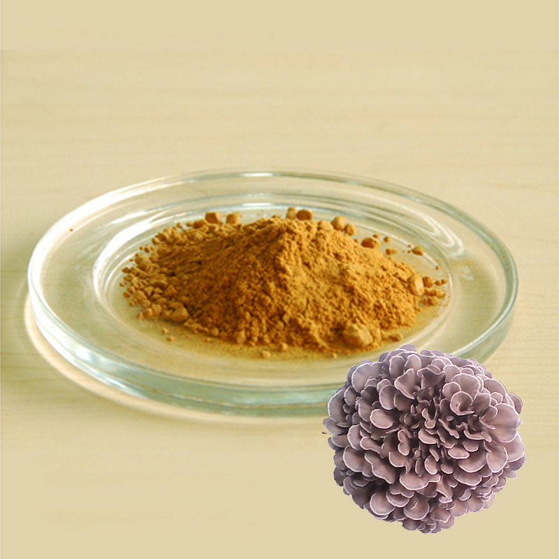 Maitake Extract