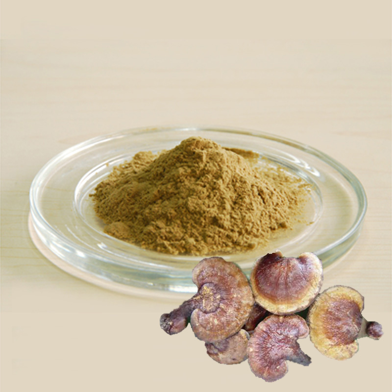 Reishi Mushroom Extract