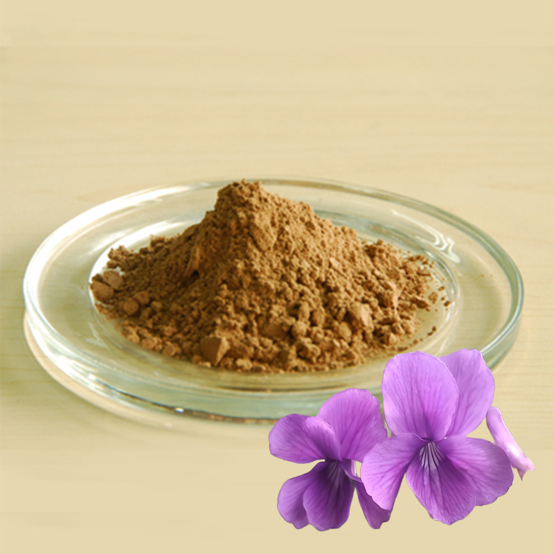 Viola philippica Extract