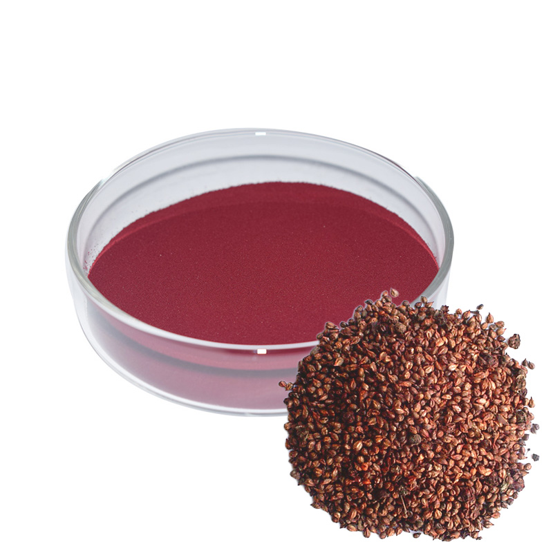Grape Seed Extract