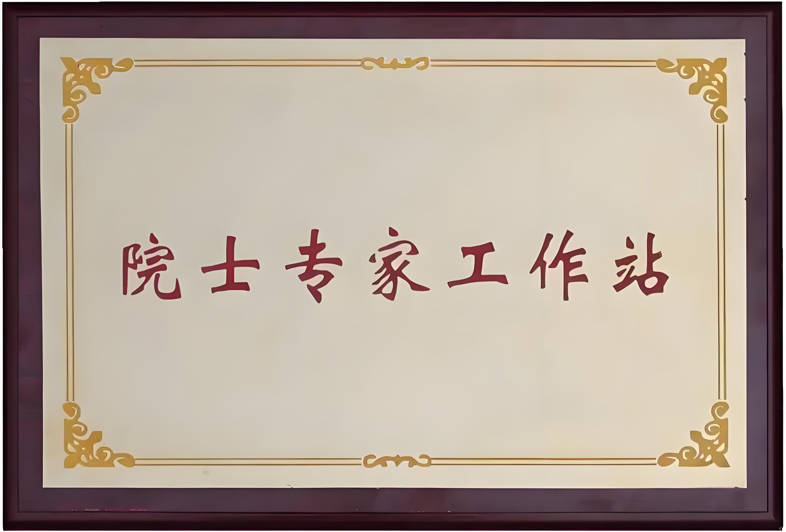 Shengshi Bio Awarded the National Academician Workstation Recognition