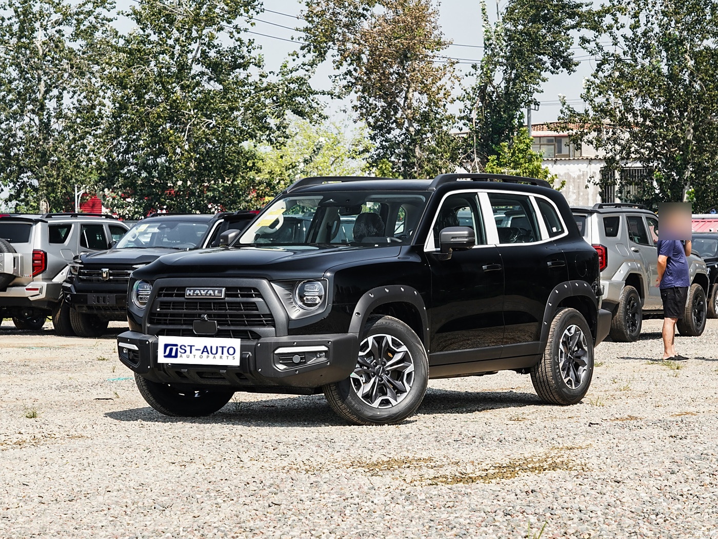 Haval DARGO 2024 2.0T DCT Chinese Garden Dog Edition (Новые/Подержанные)