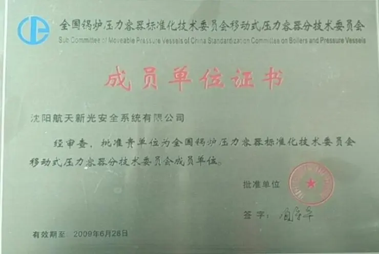 Член Подкомитета по мобильным сосудам, работающим под давлениемсосудов, работающих под давлением.