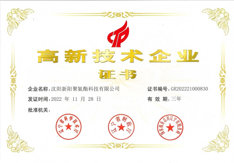 Сертификаты и достижения1