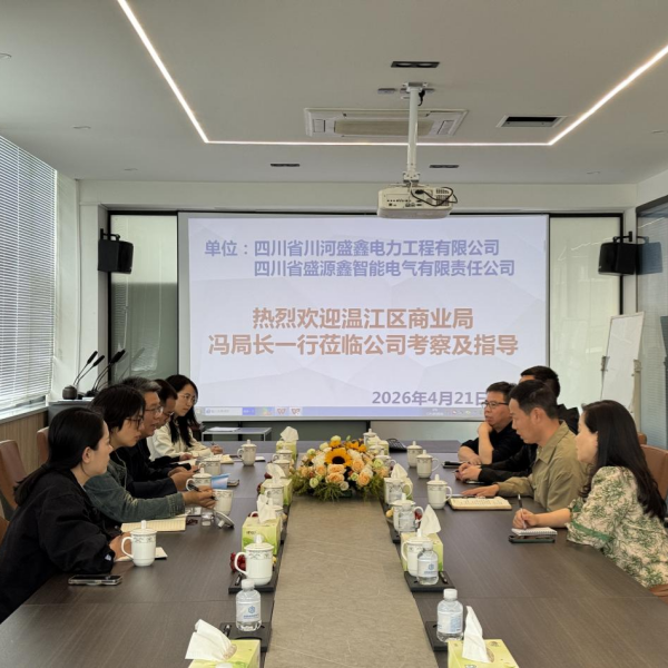 Представители Департамента торговли провинции и компании Sinosure посетили нашу компанию с целью проведения исследования и оказания консультативной помощи