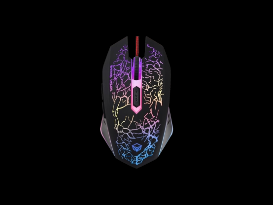 Говоря о Senior E-sports, нельзя не упомянуть MeeTion.