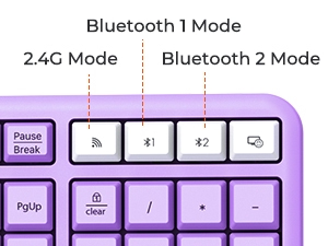 2,4G+ Bluetooth 5,0*2