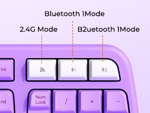 2,4G+ Bluetooth 5,0*2