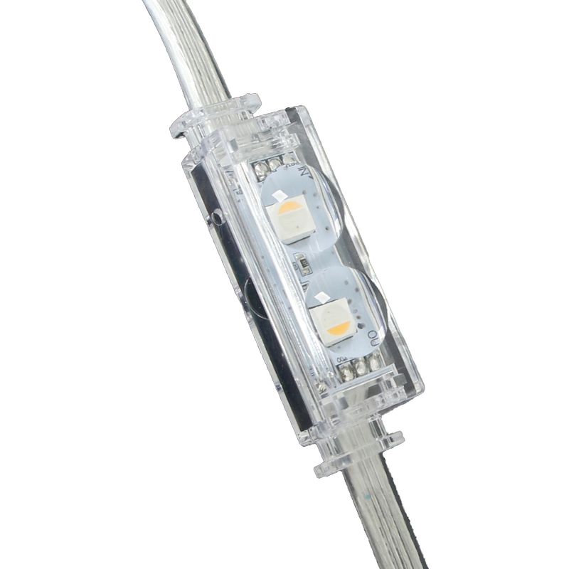 Галька светильник P50L – Энергоэффективность 0.35W, цветовая палитра RGBW и защита IP66 для архитектурной подсветки | Купить