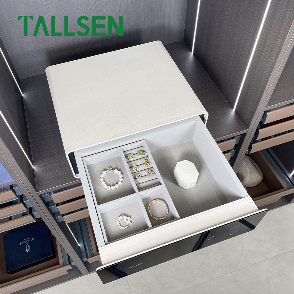 SH8257 Пароль Отпечаток пальца Ящик