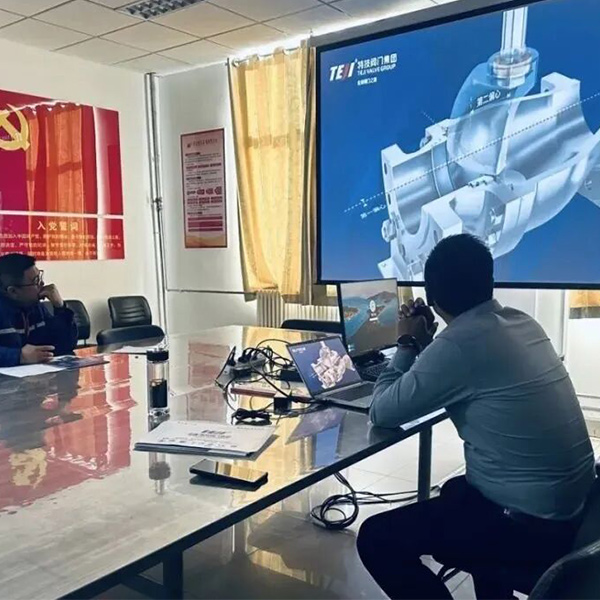 Специальные клапаны | Высокоэффективные компенсирующие сдвиговые клапаны, обеспечивающие безопасность процессов газификации.