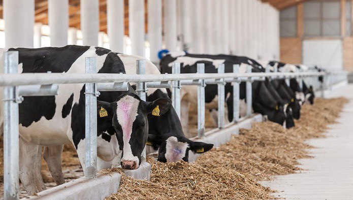 КФХ «Цветков В.Н.» построит молочно-товарную ферму за 1 млрд. руб в Московской области