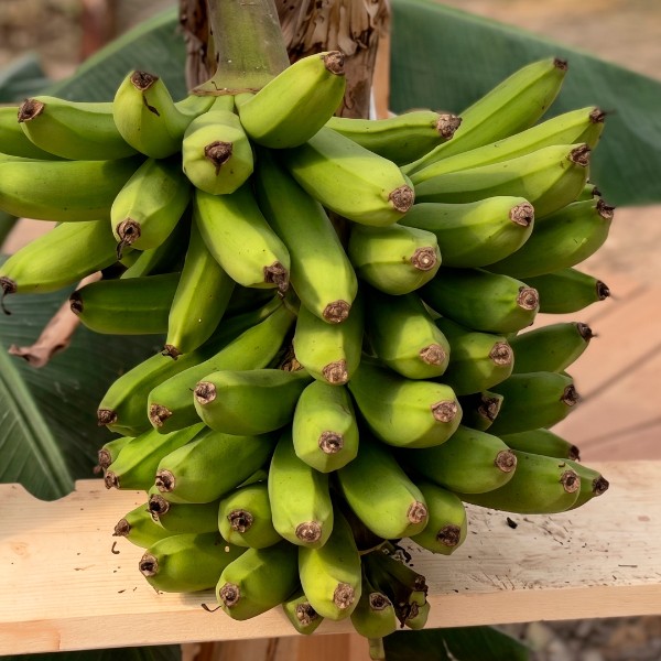 9001580803e59451758ea1bce0b84a8f (1)