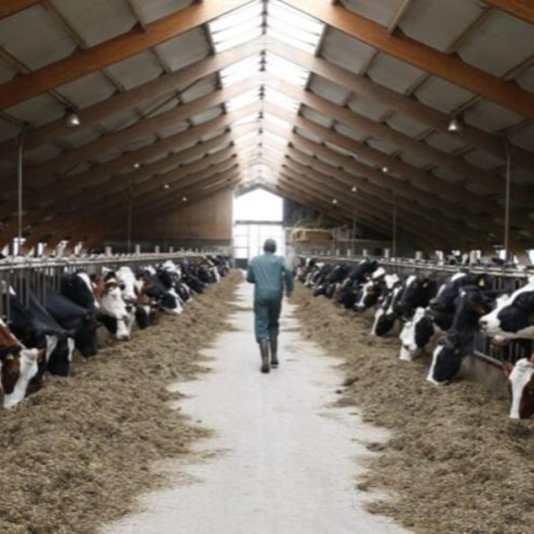 IMG_pri413653hLR (1)