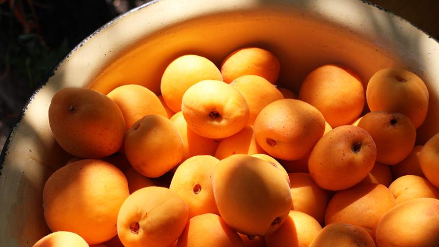 Роскачество выявило незаявленные консерванты и диоксид серы в абрикосах