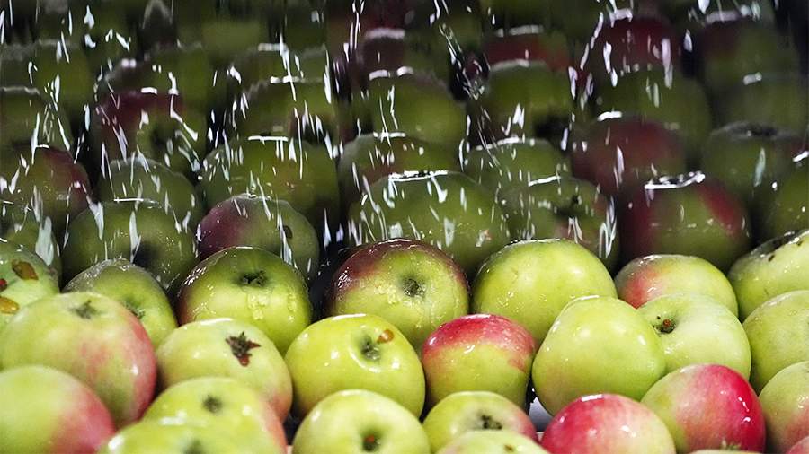 Происшествия  Один человек погиб в результате пожара в Иркутске   Мир  В Пентагоне сообщили об уничтожении еще одного судна в Карибском море   Армия  Силы ПВО уничтожили 11 украинских беспилотников над Россией за ночь   Общество  Суд в Москве запретил изменяющие голос пользователей Telegram-боты   Мир  Венесуэла поблагодарила Россию за помощь в стабилизации конфликта   Мир  Посольство РФ не получало информацию о пострадавших из-за тайфуна на Филиппинах россиянах   Мир  В Германии сообщили о невозможности Европы противостоять российским БПЛА   Спорт  Овечкин силовым приемом свалил с ног финского игрока «Питтсбурга»   Мир  Мирзиеев и Бердымухамедов пообщались с Трампом на русском языке   Общество  На Камчатке за неделю повысился до «экстремально высокого» уровень сейсмичности   Мир  Украинский энергетик спрогнозировал опустошение газовых хранилищ в стране   Армия  Расчет ЗРК «Бук-М2» перехватил снаряды РСЗО HIMARS в зоне спецоперации   Общество  Ученые раскрыли скрытые побочные эффекты медитации   Общество  Ученые нашли способ вернуть память стареющему мозгу Мир  В Великобритании исключили победу НАТО в случае прямой конфронтации с РФ   Мир  В Риге прошел митинг против выхода из Стамбульской конвенции   Происшествия  Ребенок погиб в результате пожара в частном доме в Новосибирской области   Происшествия  Один человек погиб в результате пожара в Иркутске   Мир  В Пентагоне сообщили об уничтожении еще одного судна в Карибском море   Армия  Силы ПВО уничтожили 11 украинских беспилотников над Россией за ночь   Общество  Суд в Москве запретил изменяющие голос пользователей Telegram-боты   Мир  Венесуэла поблагодарила Россию за помощь в стабилизации конфликта   Мир  Посольство РФ не получало информацию о пострадавших из-за тайфуна на Филиппинах россиянах   Мир  В Германии сообщили о невозможности Европы противостоять российским БПЛА   Спорт  Овечкин силовым приемом свалил с ног финского игрока «Питтсбурга»   Мир  Мирзиеев и Бердымухамедов пообщались с Трампом на русском языке   Общество  На Камчатке за неделю повысился до «экстремально высокого» уровень сейсмичности   Мир  Украинский энергетик спрогнозировал опустошение газовых хранилищ в стране   Армия  Расчет ЗРК «Бук-М2» перехватил снаряды РСЗО HIMARS в зоне спецоперации   Общество  Ученые раскрыли скрытые побочные эффекты медитации   Общество  Ученые нашли способ вернуть память стареющему мозгу Мир СМИ сообщили об экспорте Афганистаном в РФ 50 т кандагарских яблок