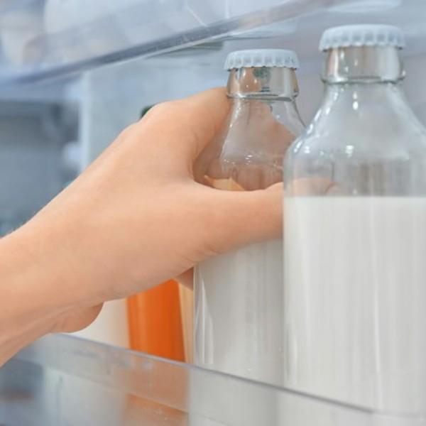 pit_evoe_molokr_12 (1)