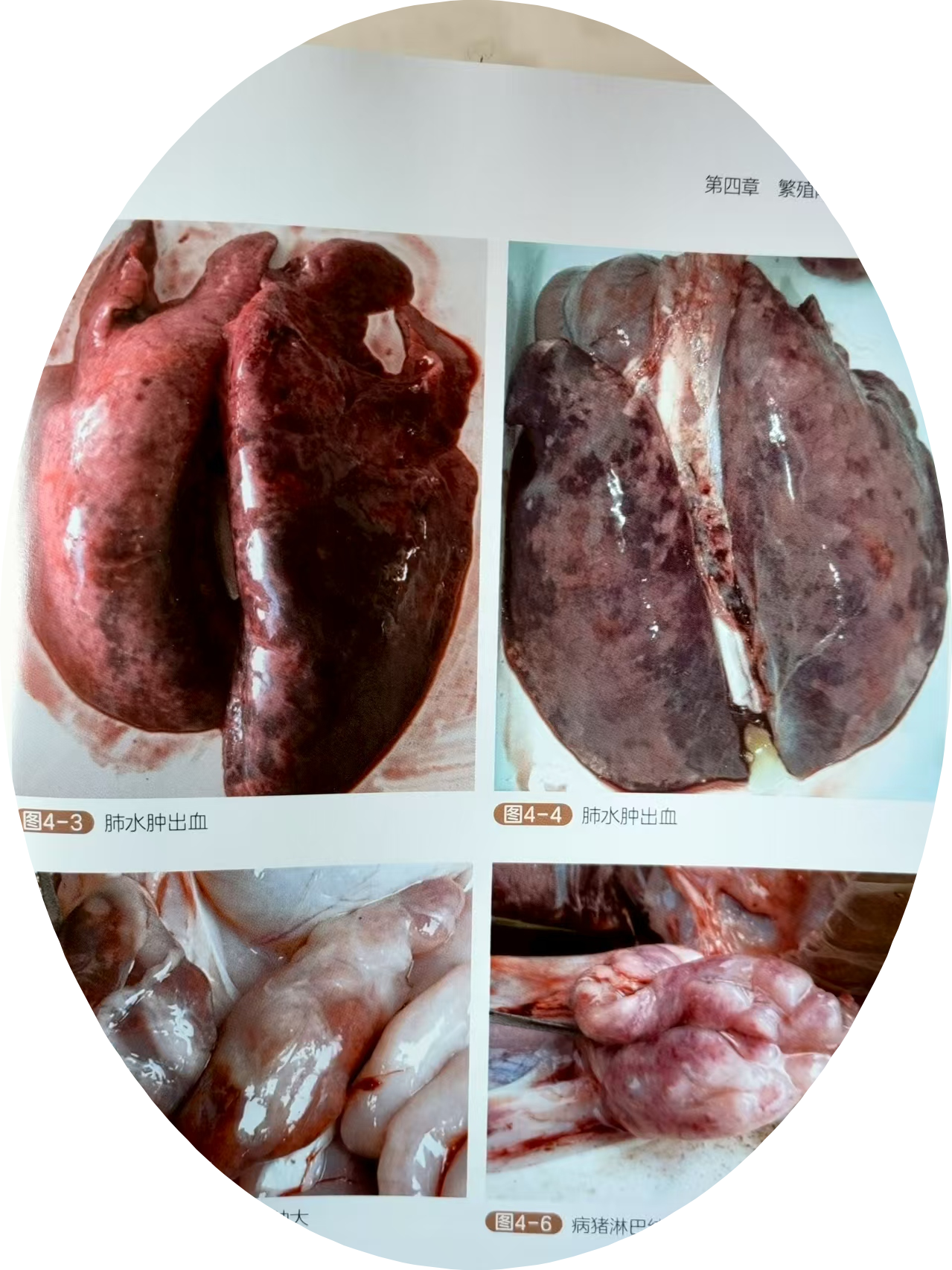 103eef7d08b591467f99fe530241fe49