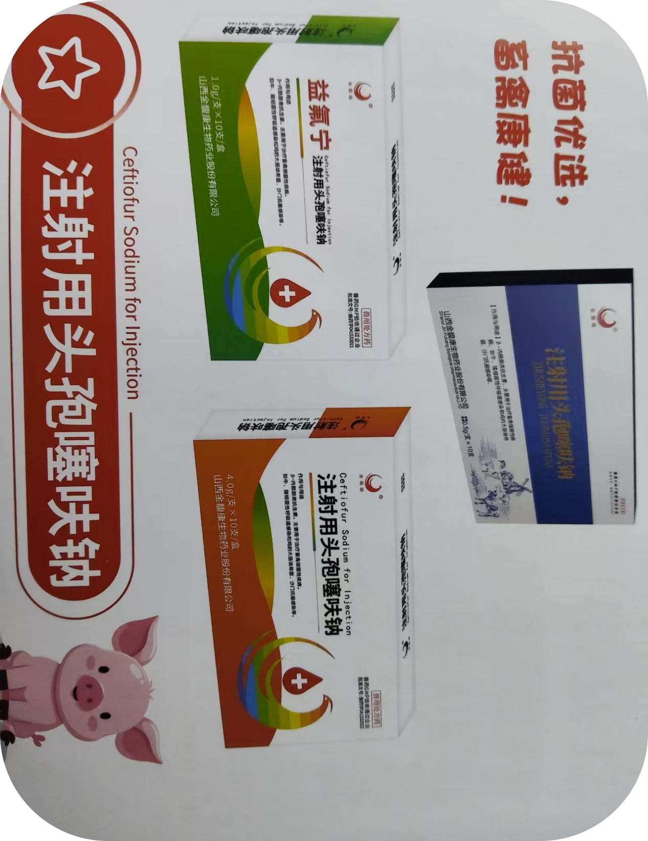 121934cd1ef5b6f9203eec36521850fe