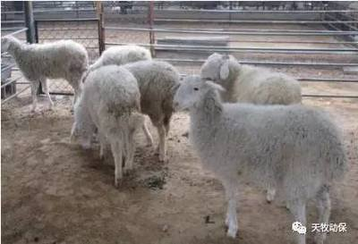 3337d5ae083c1a22691f6585018e2a9e