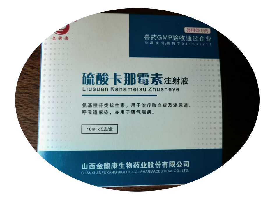 Исследование применения сульфата канамицина при лечении заразного плевропневмонии овец